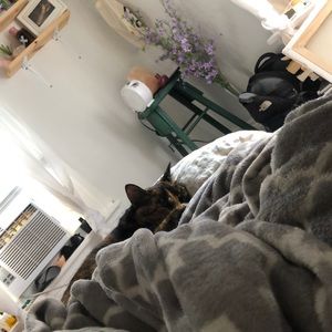 Meet your Posher, Madison